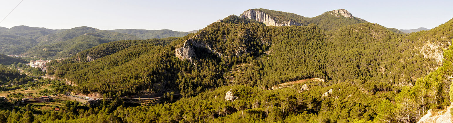 Thermal Spring Panoramic